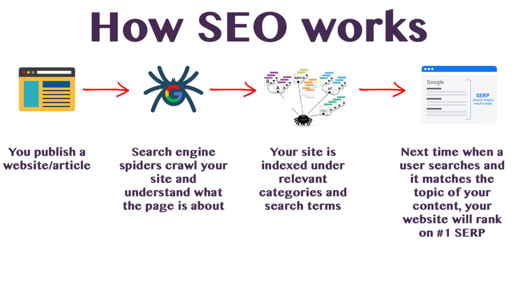 this is the infographics image which is about how SEO works